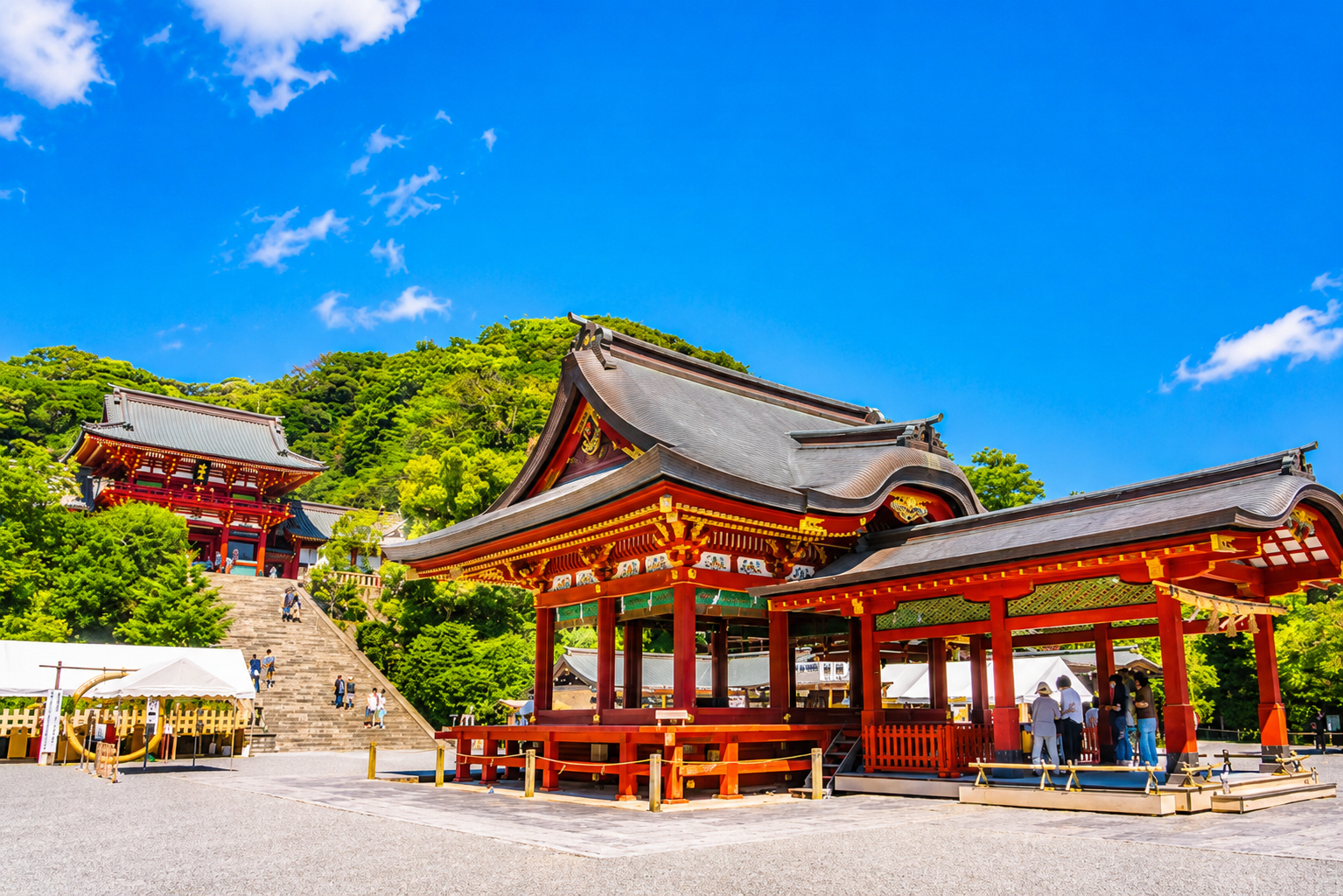 台中｜東京・富士山展望溫泉 5天 (除夕/初一)